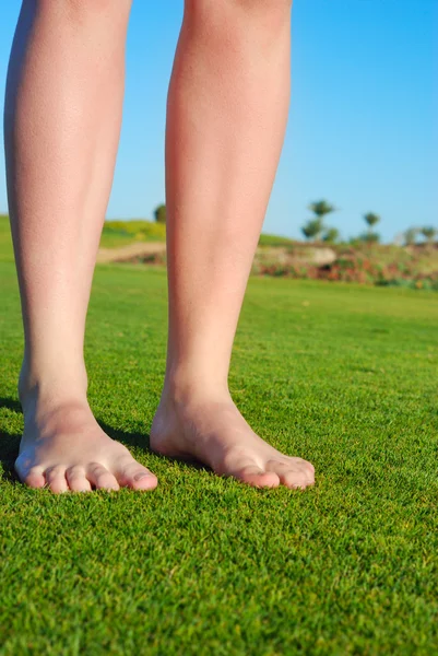 Ženské nohy v trávě — Stock fotografie