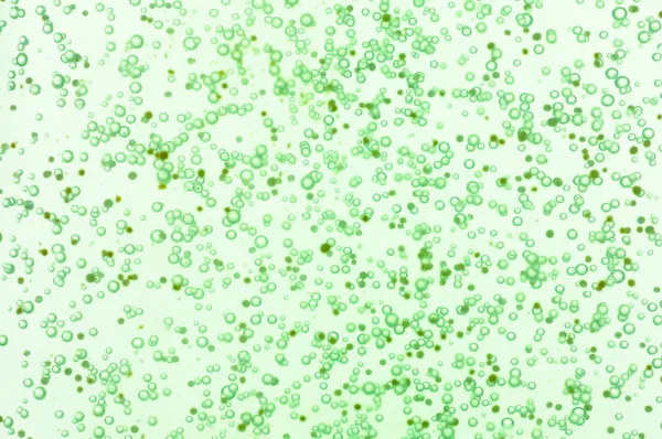 Närbild av grön dusch gel struktur — Stockfoto