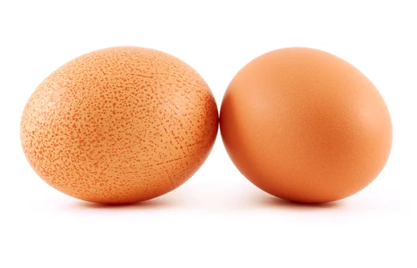 Два яйця ізольовані на білому — стокове фото