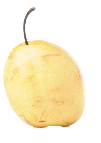 Chinese pear isolated on white — Stock Photo, Image