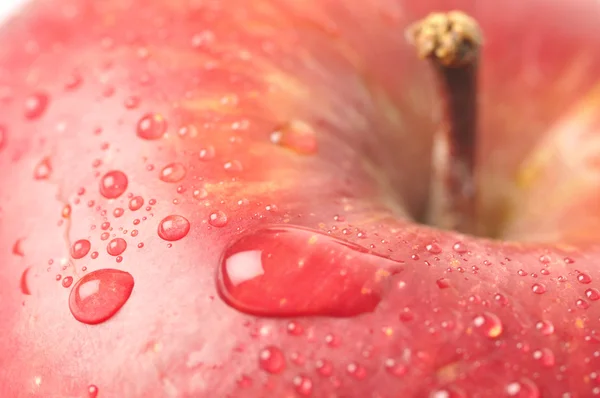 Wet apple closeup — Stock Photo, Image