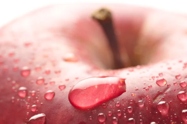 Мокрий apple крупним планом — стокове фото