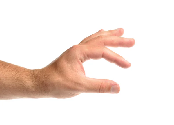男性の手のサイズを示しています。 — ストック写真
