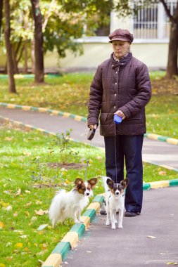 Woman with two dogs clipart