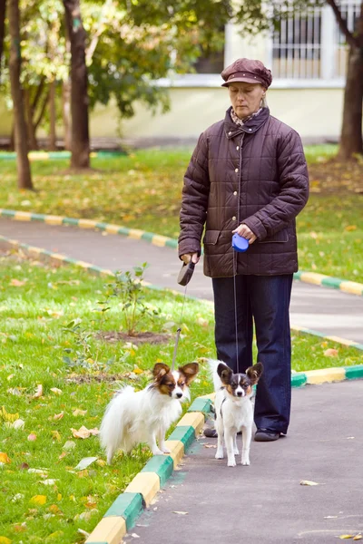 Woman with two dogs — Stock Photo, Image