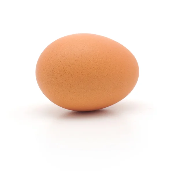 Jedno vejce — Stock fotografie
