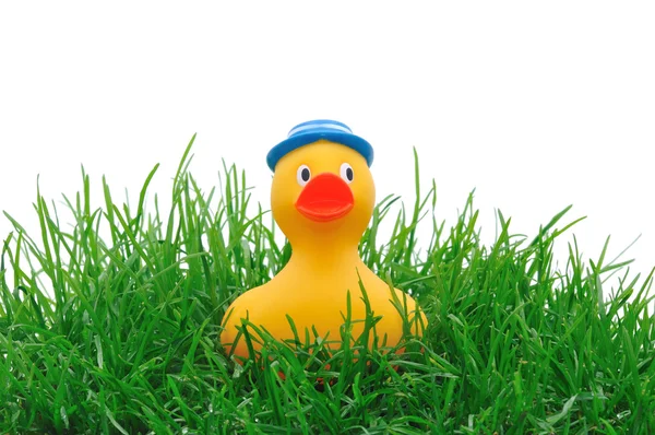 Резиновая утка в траве — стоковое фото