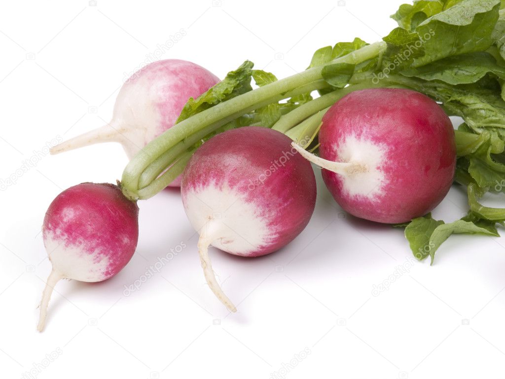 fresh radish on white background |圖庫照片08galyna semenko