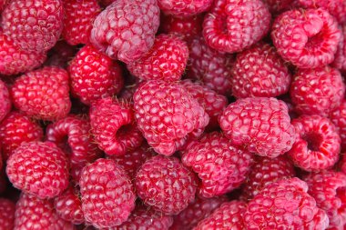 Raspberries clipart