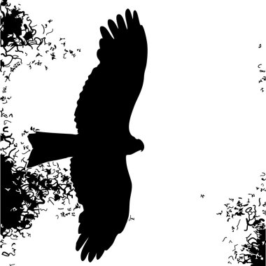 Bird of prey silhouette clipart