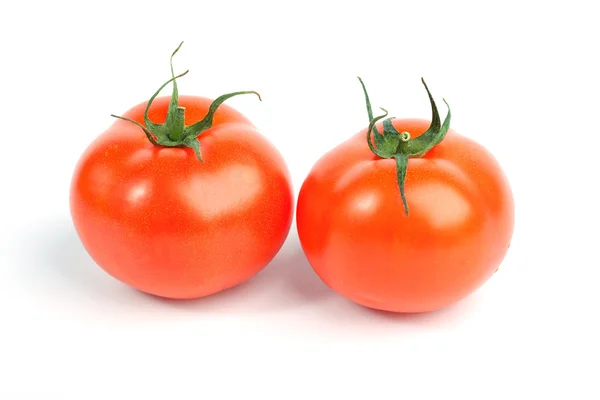 Iki olgun domates — Stok fotoğraf