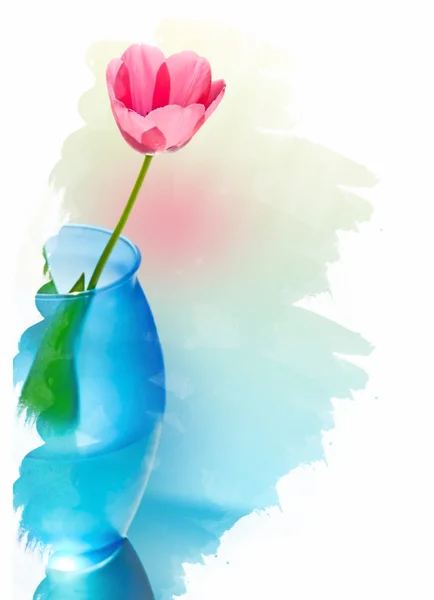 Тюльпан в вазе — стоковое фото