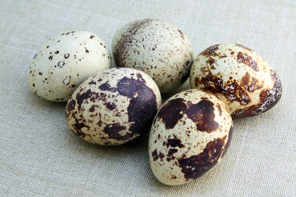 Jaja przepiórcze — Zdjęcie stockowe