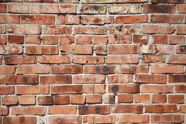 stock image Brick wall