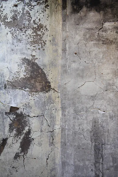 오래 된 wallold — 무료 스톡 포토