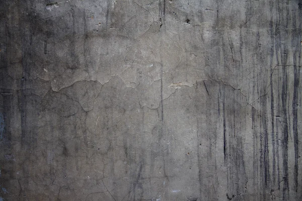 오래 된 wallold — 무료 스톡 포토