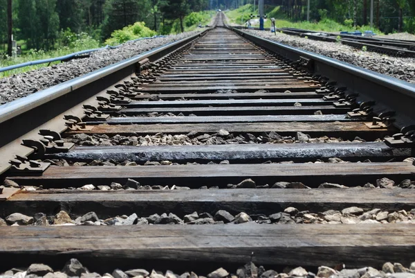 Stock image Railway on summer