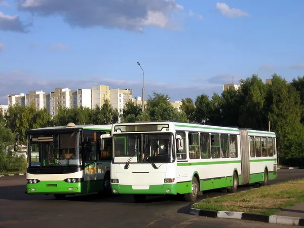Twee bussen — Stockfoto
