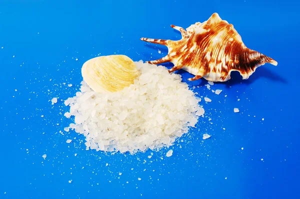 Sal marinho com conchas — Fotografia de Stock