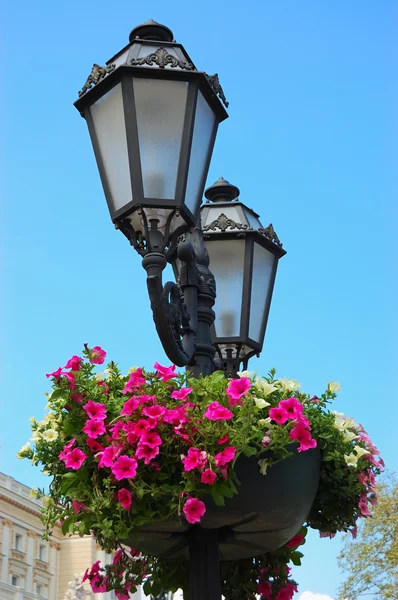 Lámpara antigua con flores —  Fotos de Stock