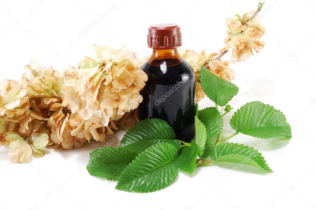 Medicinal plant with a bottle