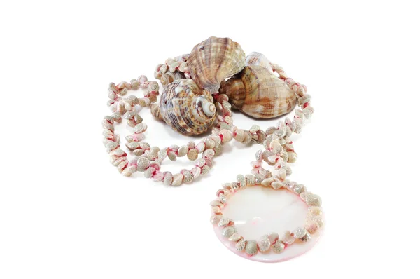 Halsketten aus Muscheln auf dem Hintergrund mariner Weichtiere — Stockfoto