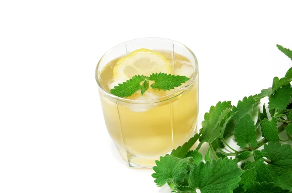 Tea with mint and lemon ice — Stock Photo, Image