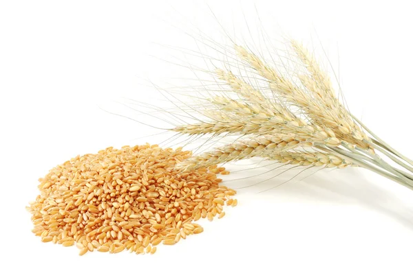 Grain and ear of wheat — Stock Photo, Image