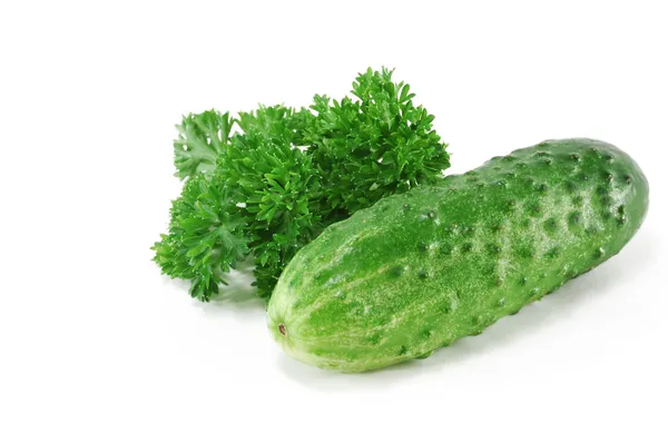 Komkommer met peterselie gebladerte — Stockfoto