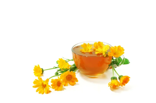Curative tea with calendula — Stock Photo, Image
