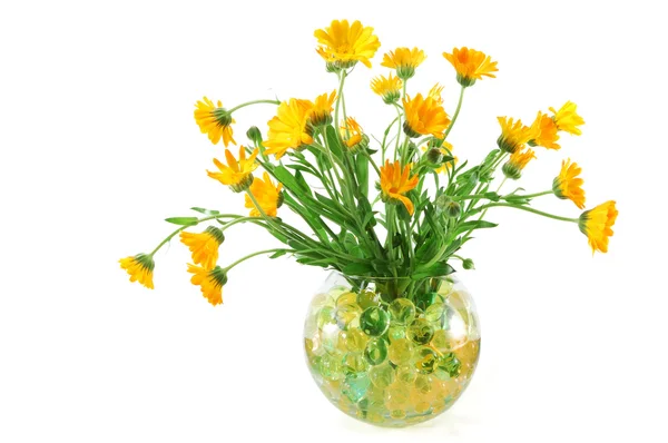 Marigold flowers in a vase with colorful crystal beads — Stock Photo, Image
