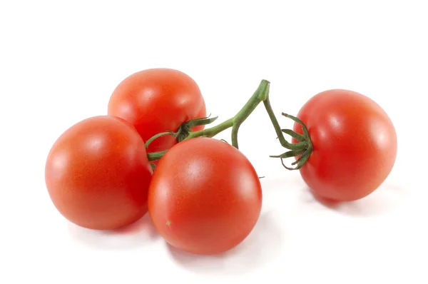 Eerstelingsgarve van rijpe tomaten — Stockfoto