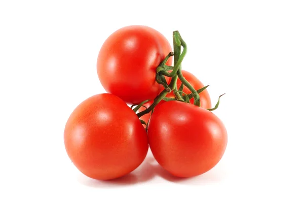 Hoja de tomates maduros — Foto de Stock