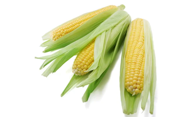 玉米的耳朵 — 图库照片