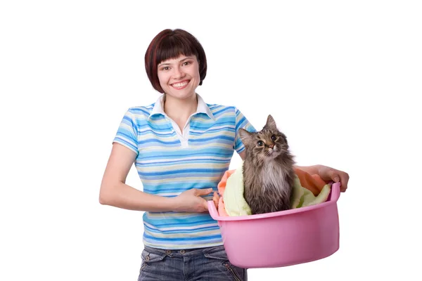 Schmutzige Katze. Zeit für einen Wäschetag. — Stockfoto