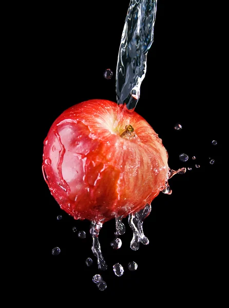Red Apple Stock Picture