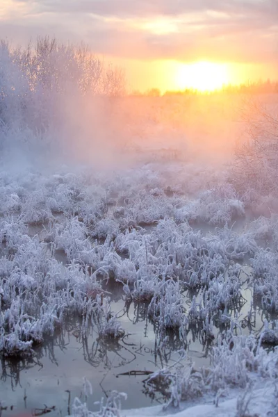 Kış günbatımı manzarası — Stok fotoğraf