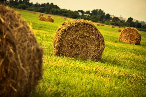 Haystack en un campo — Foto de Stock
