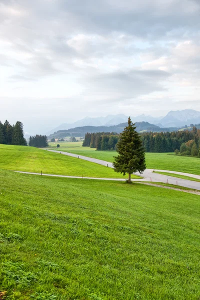 Alpen landschap — Stockfoto