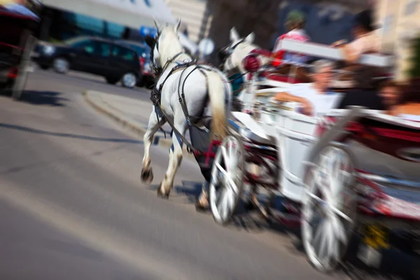 Лошадь с автобусом на городской улице — стоковое фото