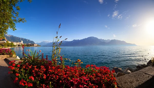 Genève sjön panorama — Stockfoto
