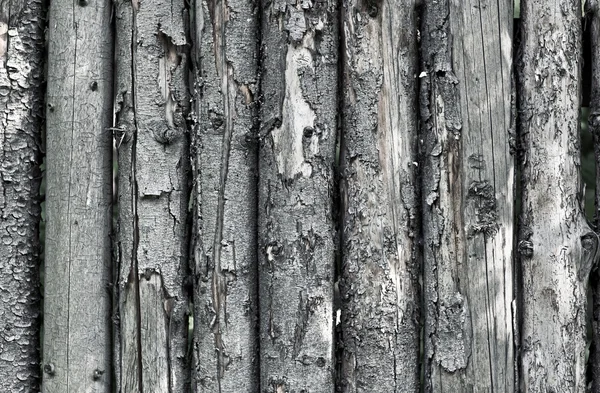 木造フェンスのテクスチャ — ストック写真