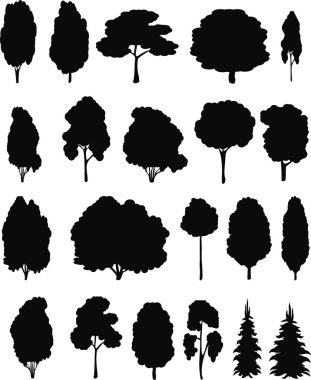 Trees. Vector set. clipart