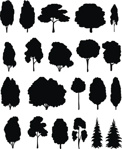Des arbres. Ensemble vectoriel . — Image vectorielle