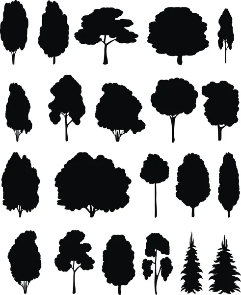 Des arbres. Ensemble vectoriel . Graphismes Vectoriels