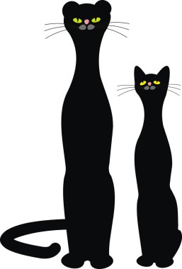 Kara kedi ve Panter