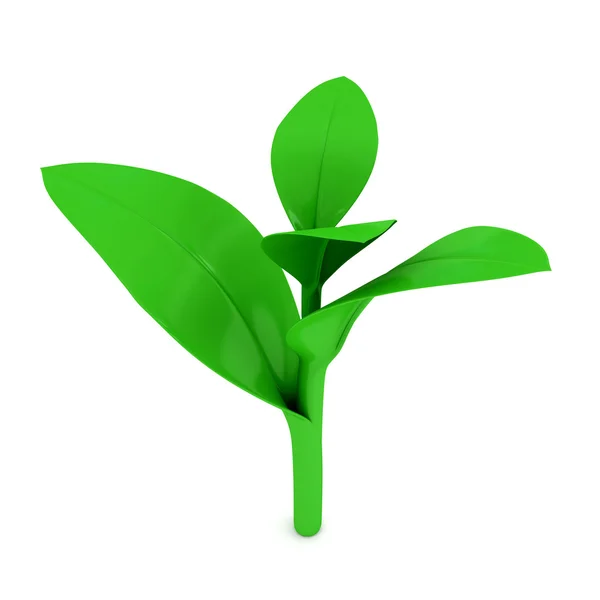 Groene plant over Wit — Stockfoto