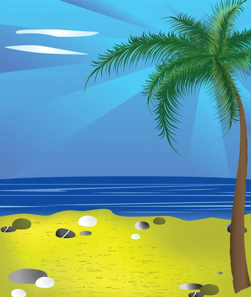 Bir plaj ve palmiye ağacı — Stok Vektör