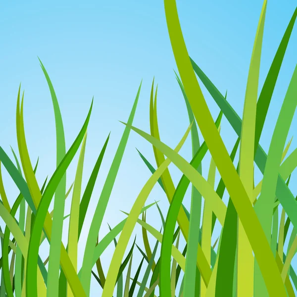 Green grass against the blue sky — Stock Vector