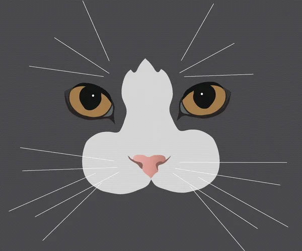 Cat's-Eyes — Stok Vektör